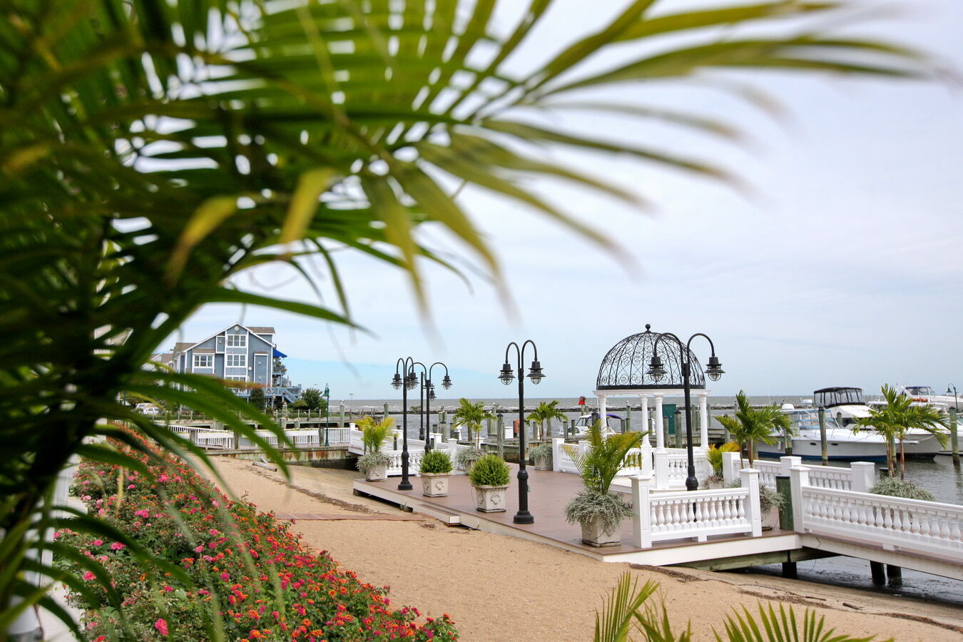Rod 'N' Reel Resort チェサピーク・ビーチ エクステリア 写真